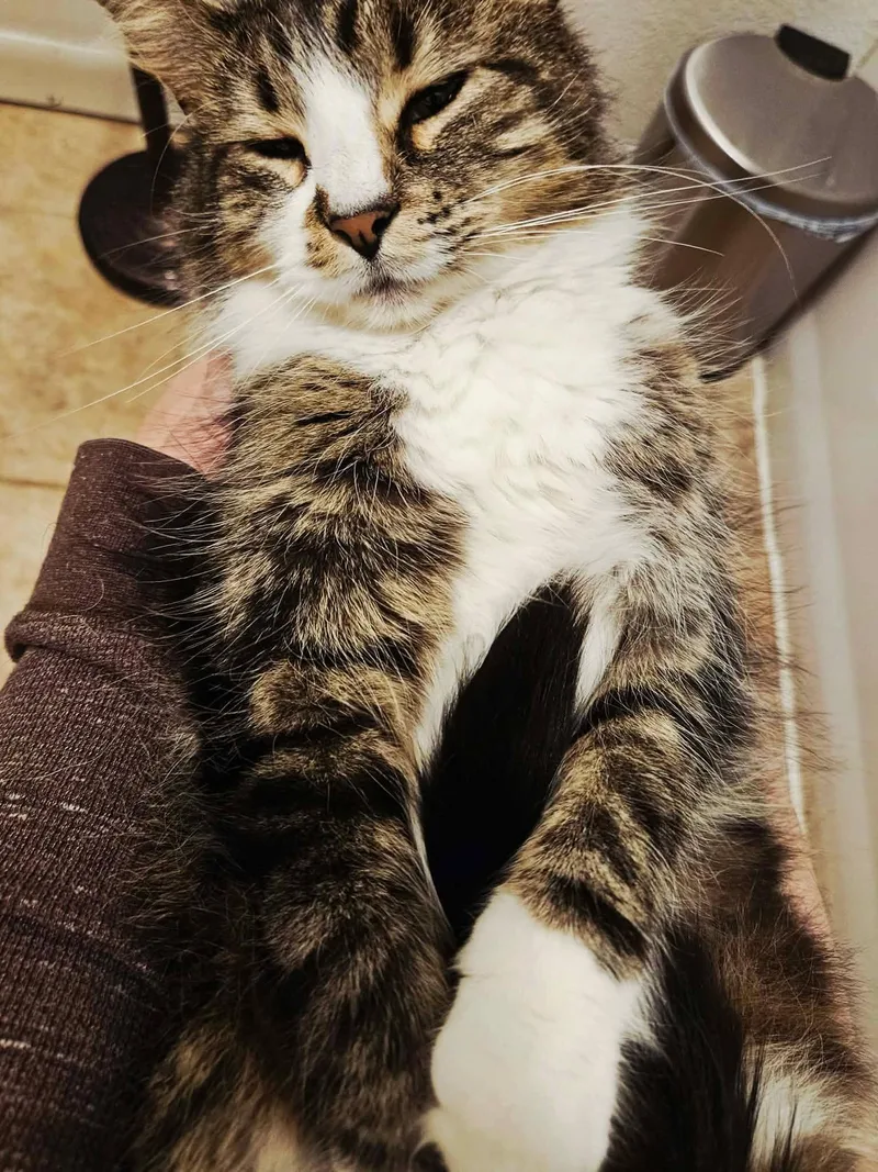 Valentina thumbnail 2