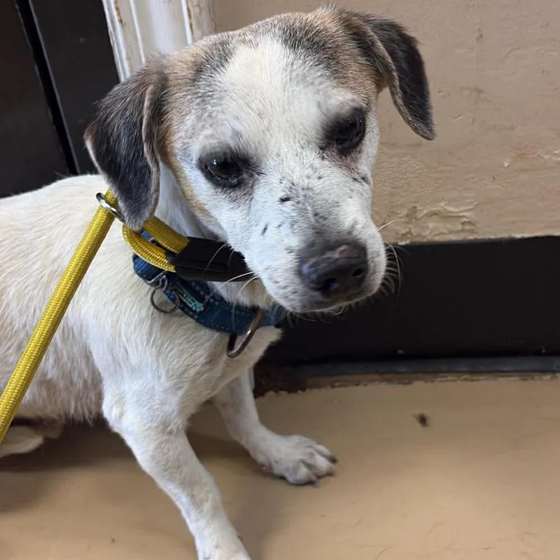 Rory City Of Industry