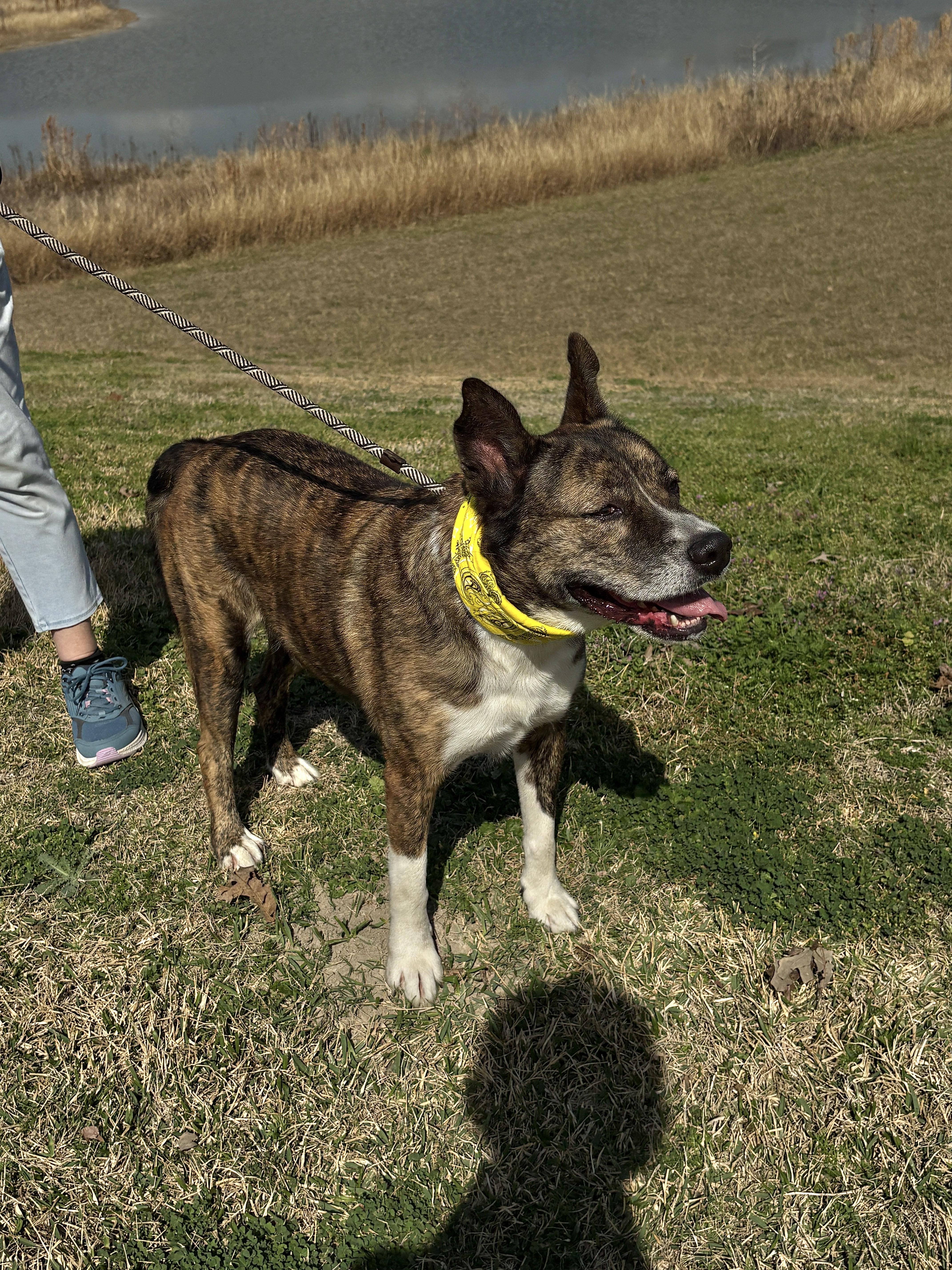 Machi Beautiful Boy! thumbnail 3