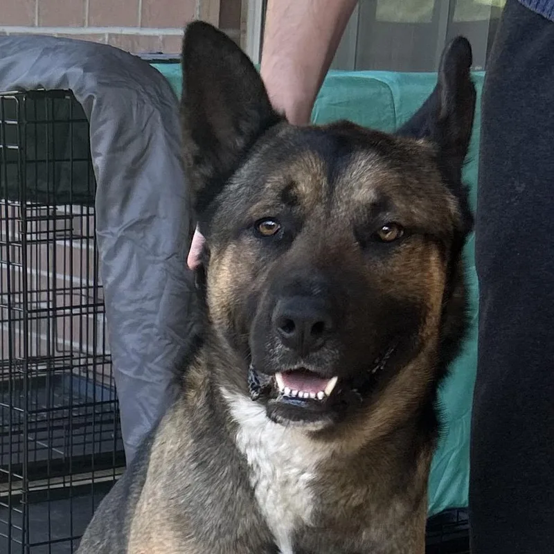 Rocky Road thumbnail 2