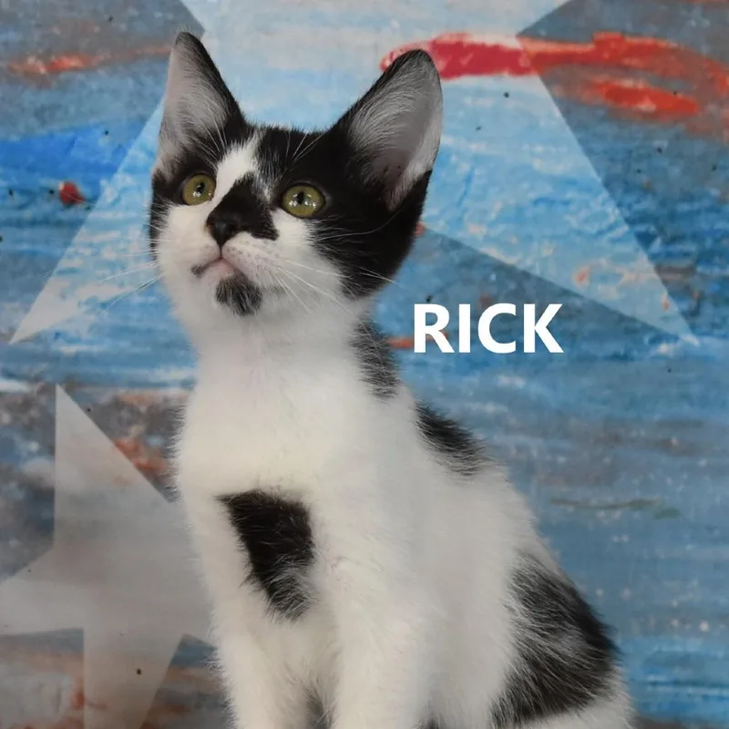 Rick