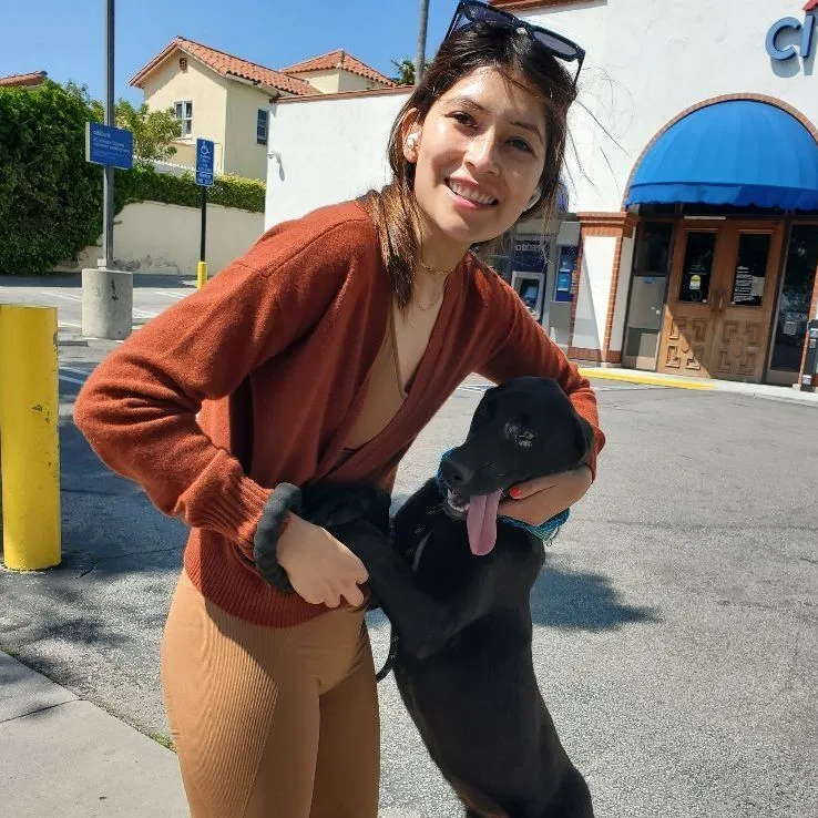 Miles Black Lab Love!!! thumbnail 4