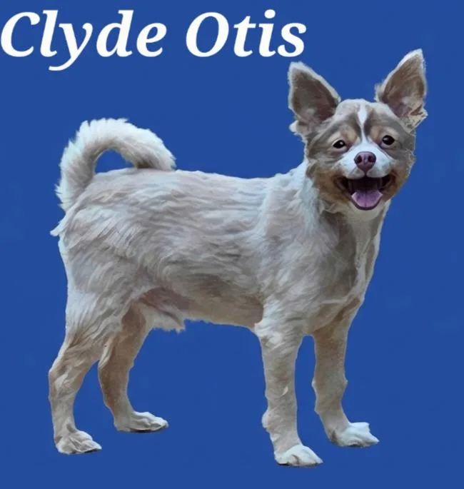 Clyde thumbnail 3