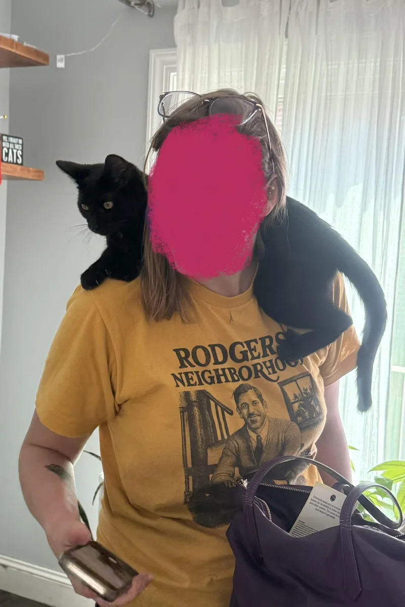 A baby medium-sized female Black Domestic Short Hair cat named Rosalie for adoption in Lemoyne, PA
