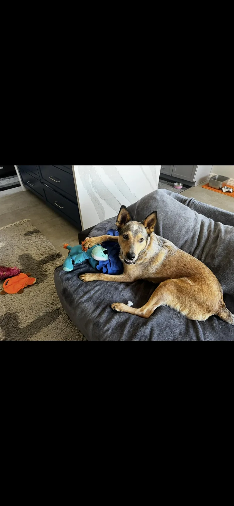 Harrison thumbnail 2