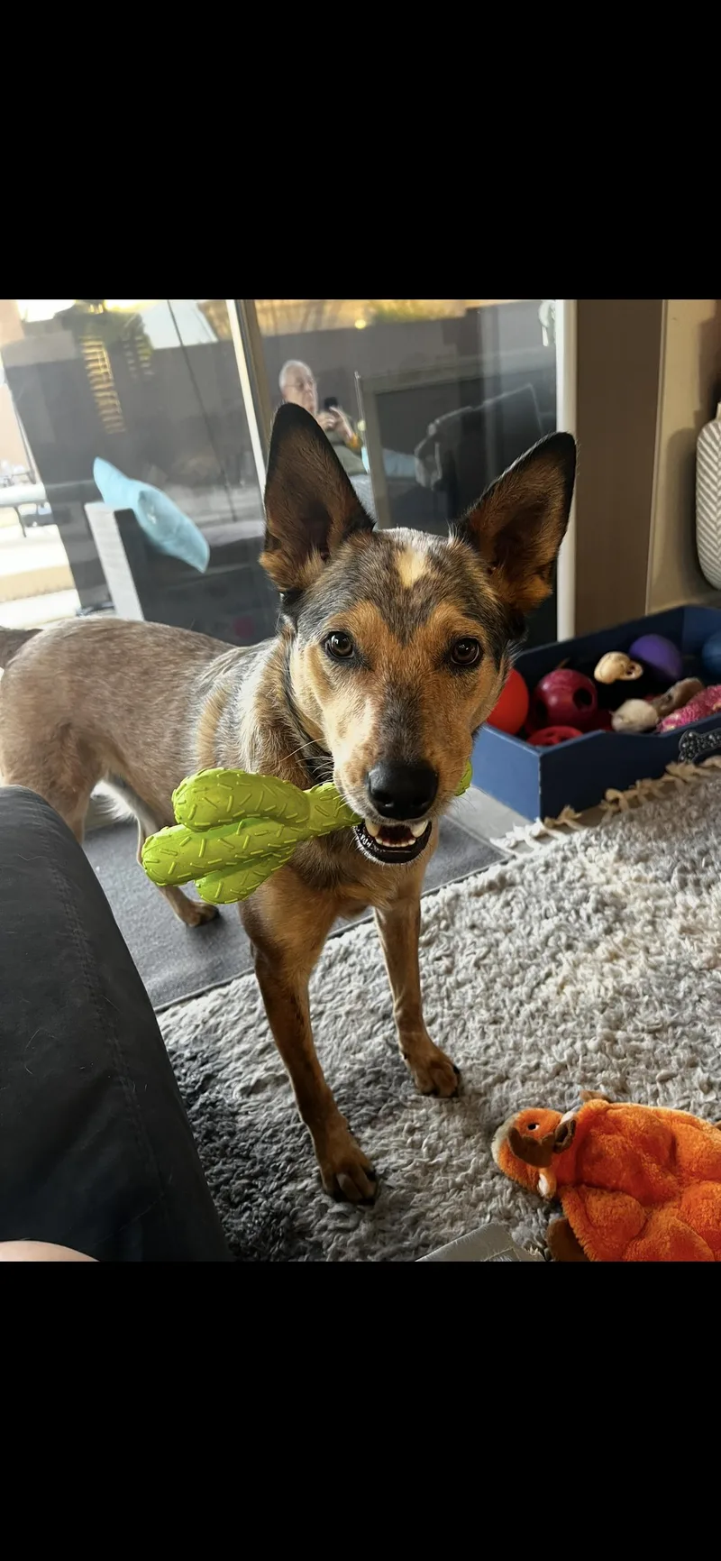 Harrison thumbnail 3