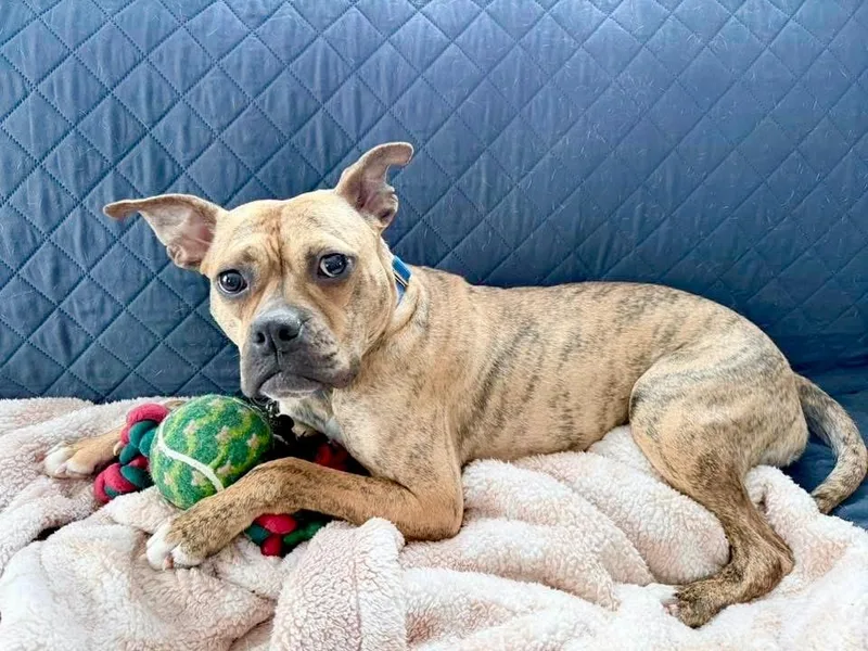 Rinny  Local thumbnail 2