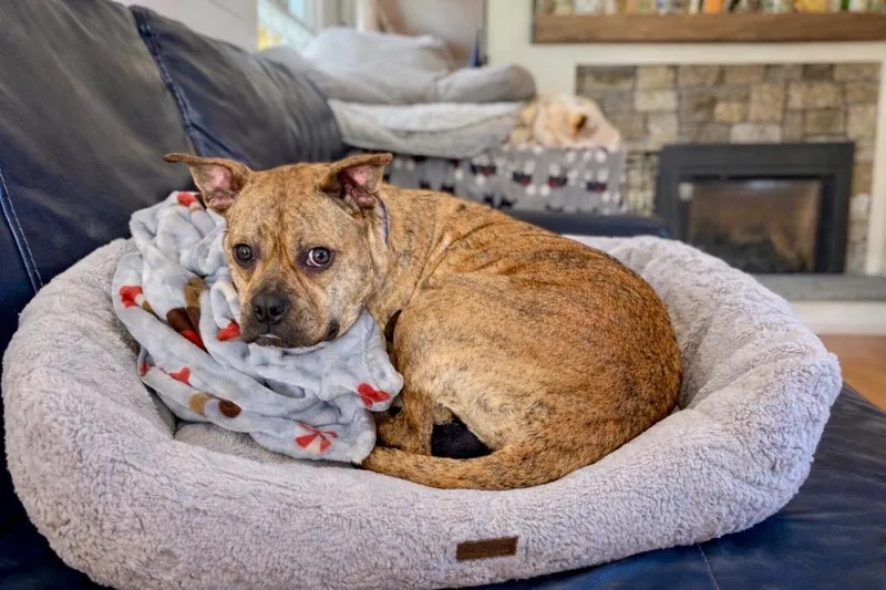 Rinny  Local thumbnail 4