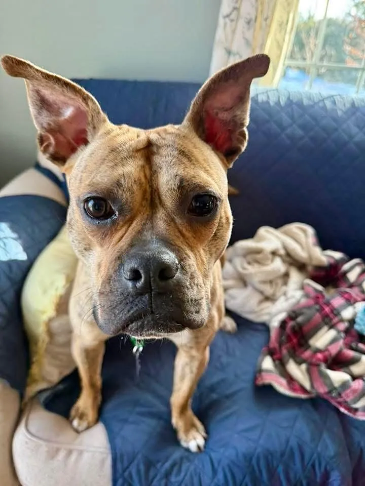 Rinny  Local thumbnail 5