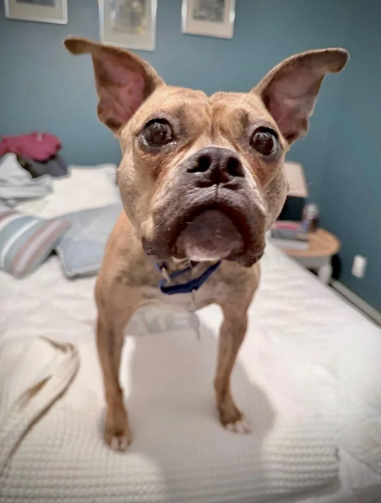 Rinny  Local thumbnail 6