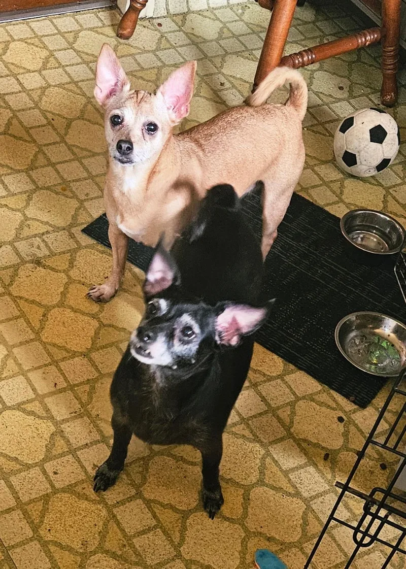 Eli AND Ellie thumbnail 3
