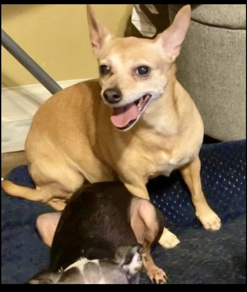 Eli AND Ellie thumbnail 4