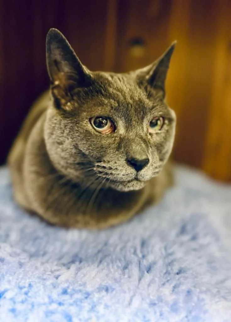 Samantha thumbnail 3