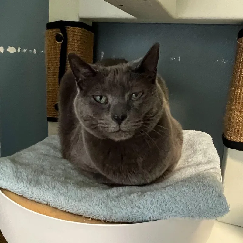 Samantha thumbnail 5