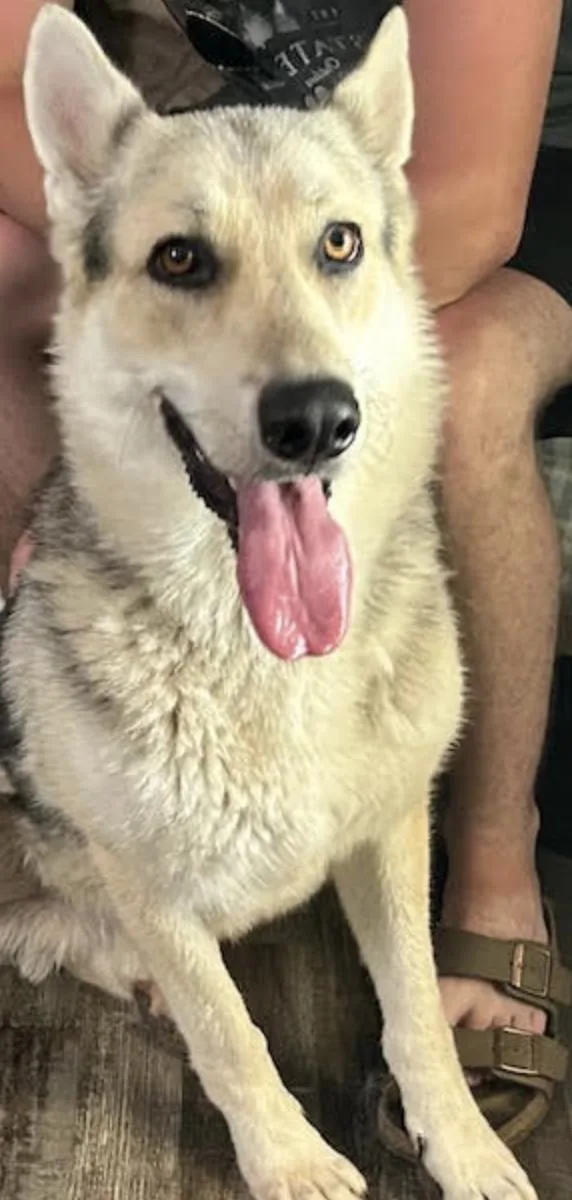 Cosmo Courage thumbnail 3