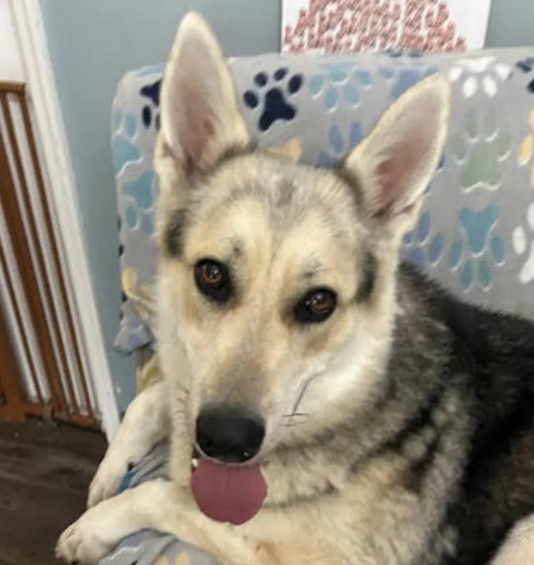 Cosmo Courage thumbnail 6