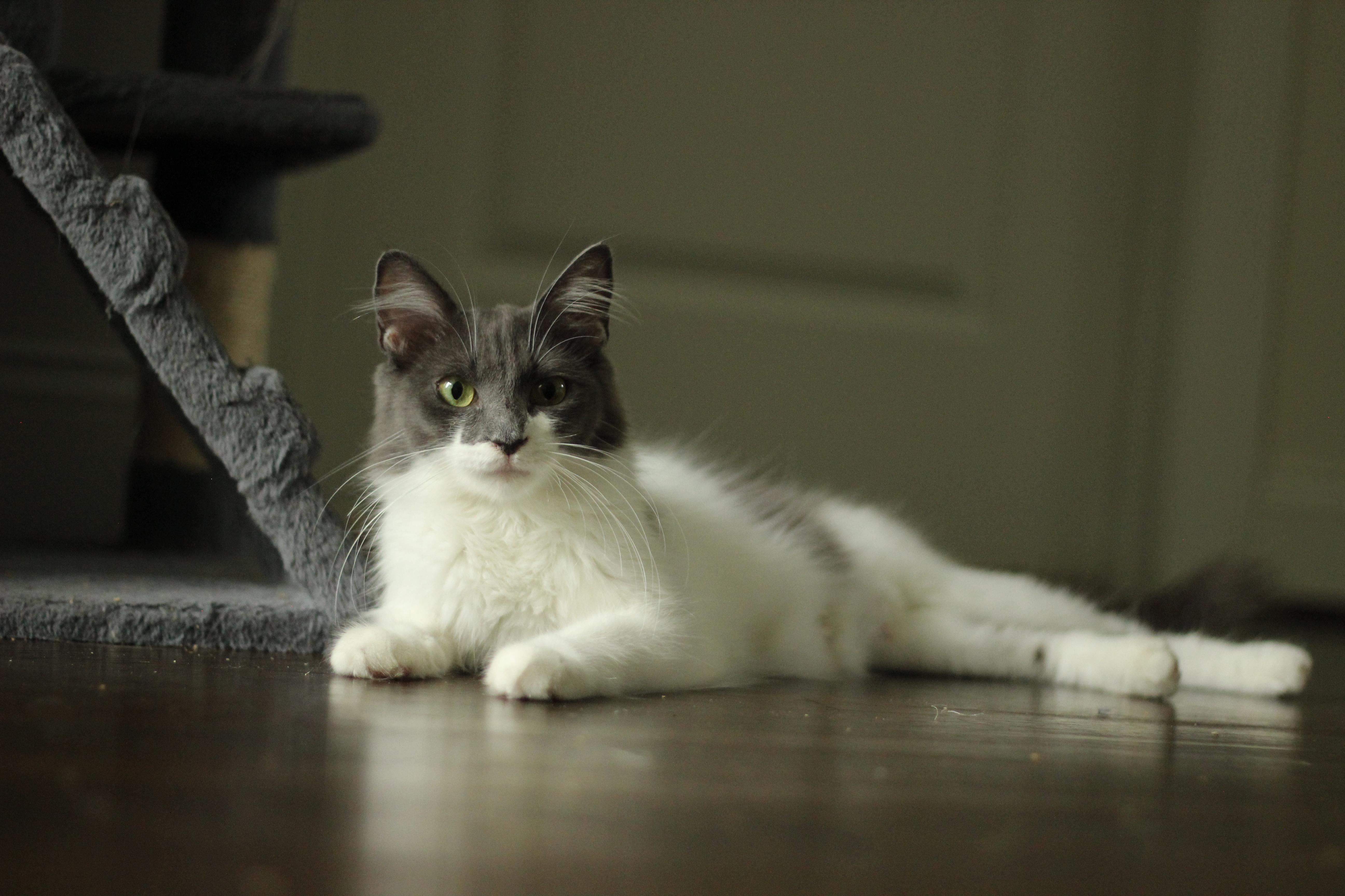 Barbara thumbnail 4