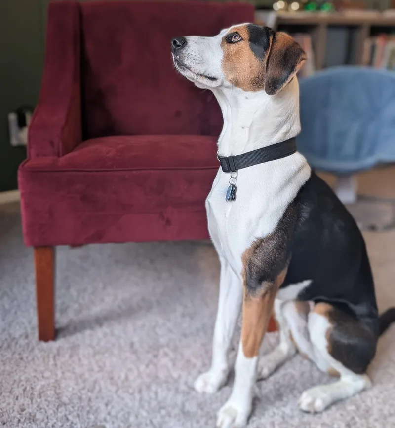 Mella Courtesy Listed thumbnail 2