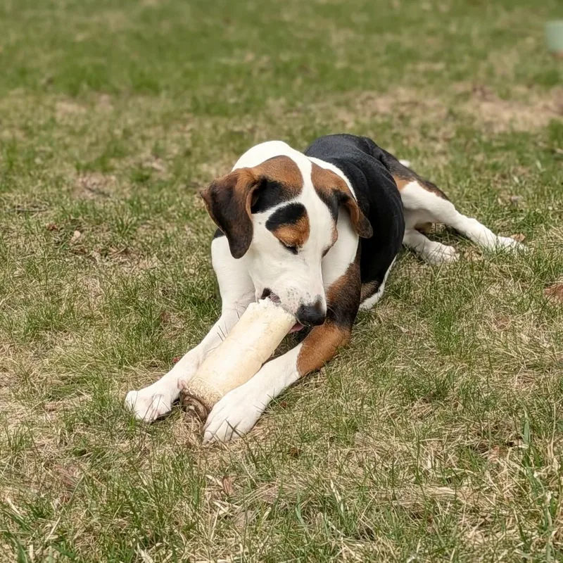 Mella Courtesy Listed thumbnail 3