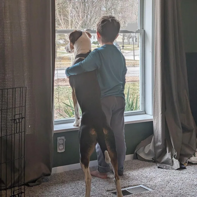 Mella Courtesy Listed thumbnail 4