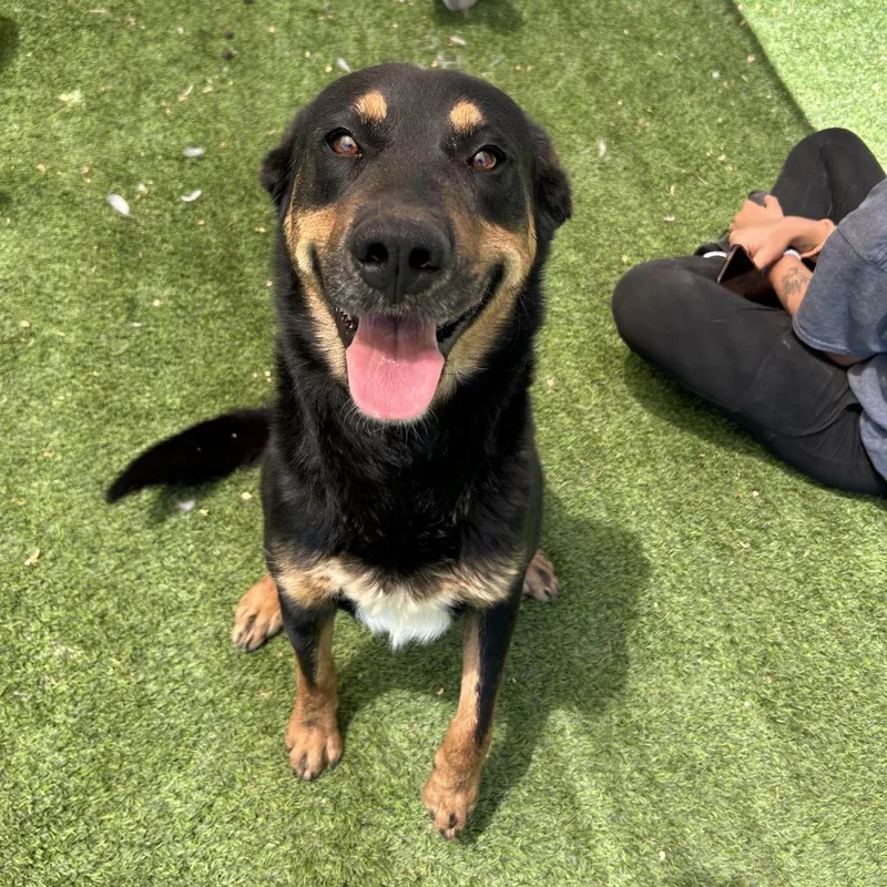 Nature  Butler Campus thumbnail 3