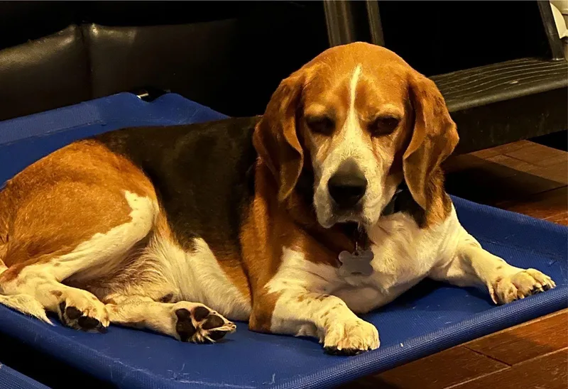 Fletcher Hayes thumbnail 3