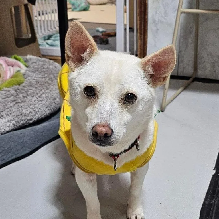 Nuni Hw+ thumbnail 2