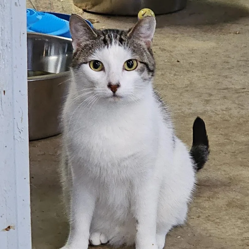 Divinity thumbnail 2