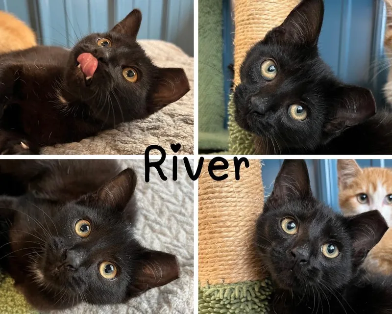 River thumbnail 2
