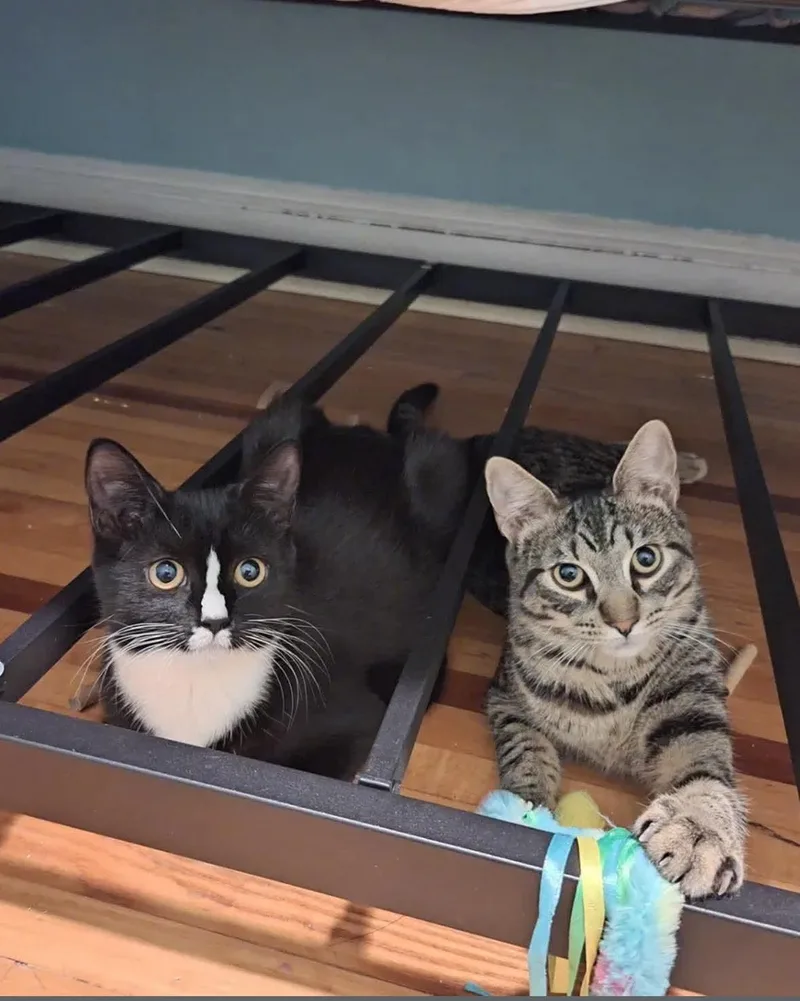 Whiskey & Paulina thumbnail 2