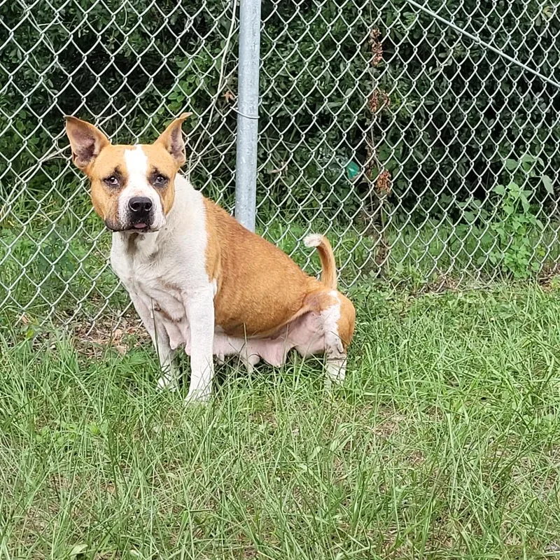 Ms. Belle