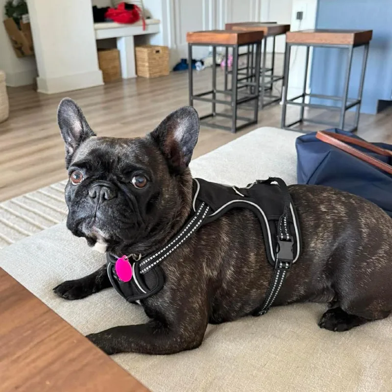 Nicki Minaj thumbnail 2