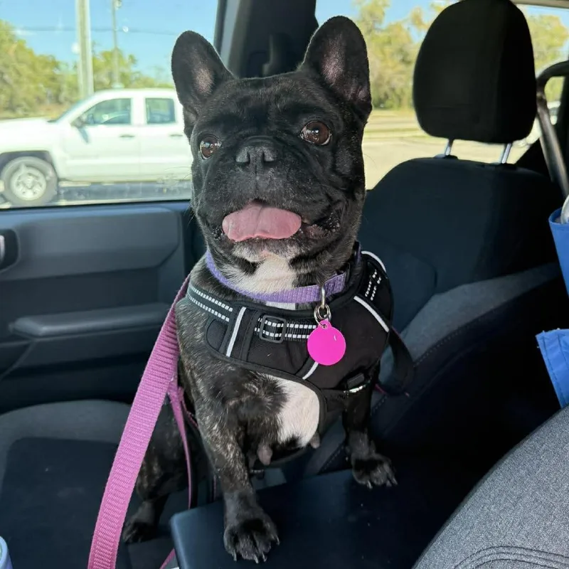 Nicki Minaj thumbnail 3