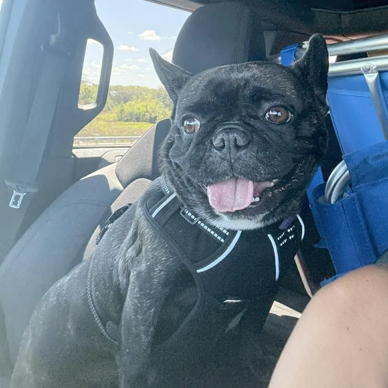 Nicki Minaj thumbnail 4