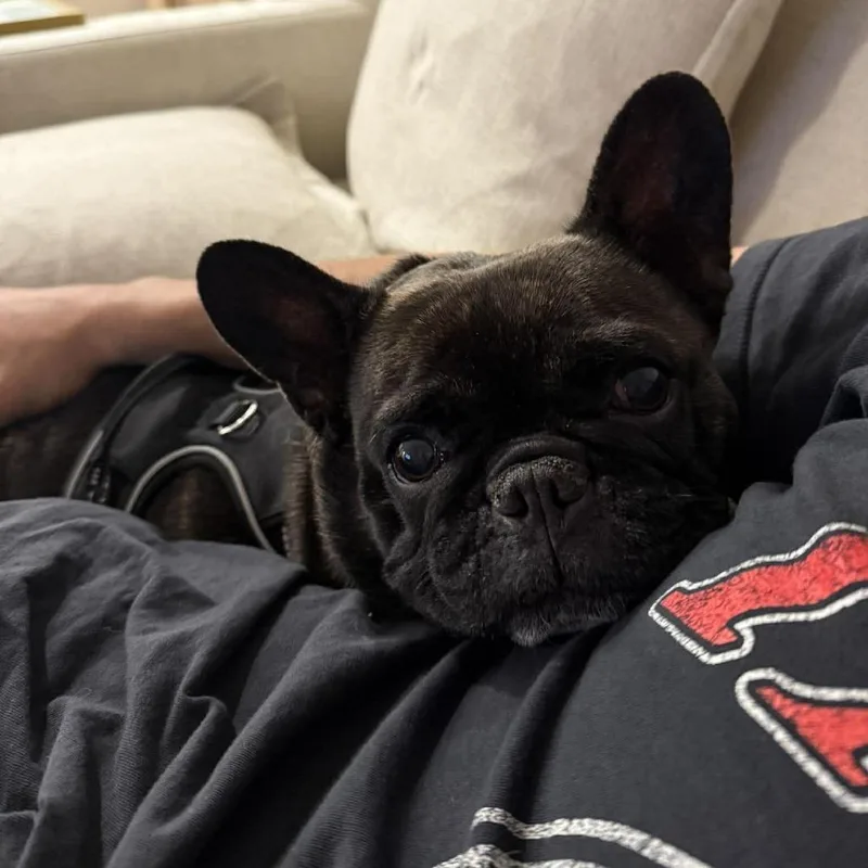 Nicki Minaj thumbnail 6