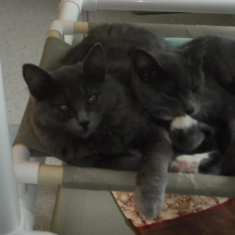 Wyatt  Fun Little thumbnail 2