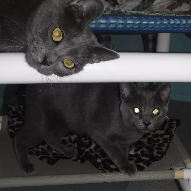 Wyatt  Fun Little thumbnail 3