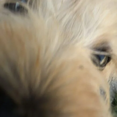 Sherlock thumbnail 2