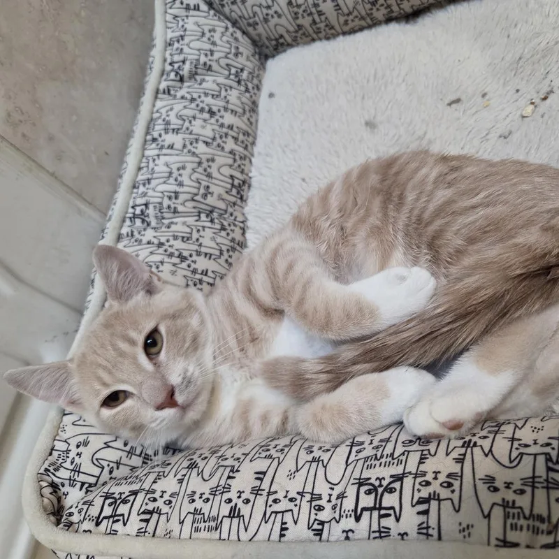 Minnie