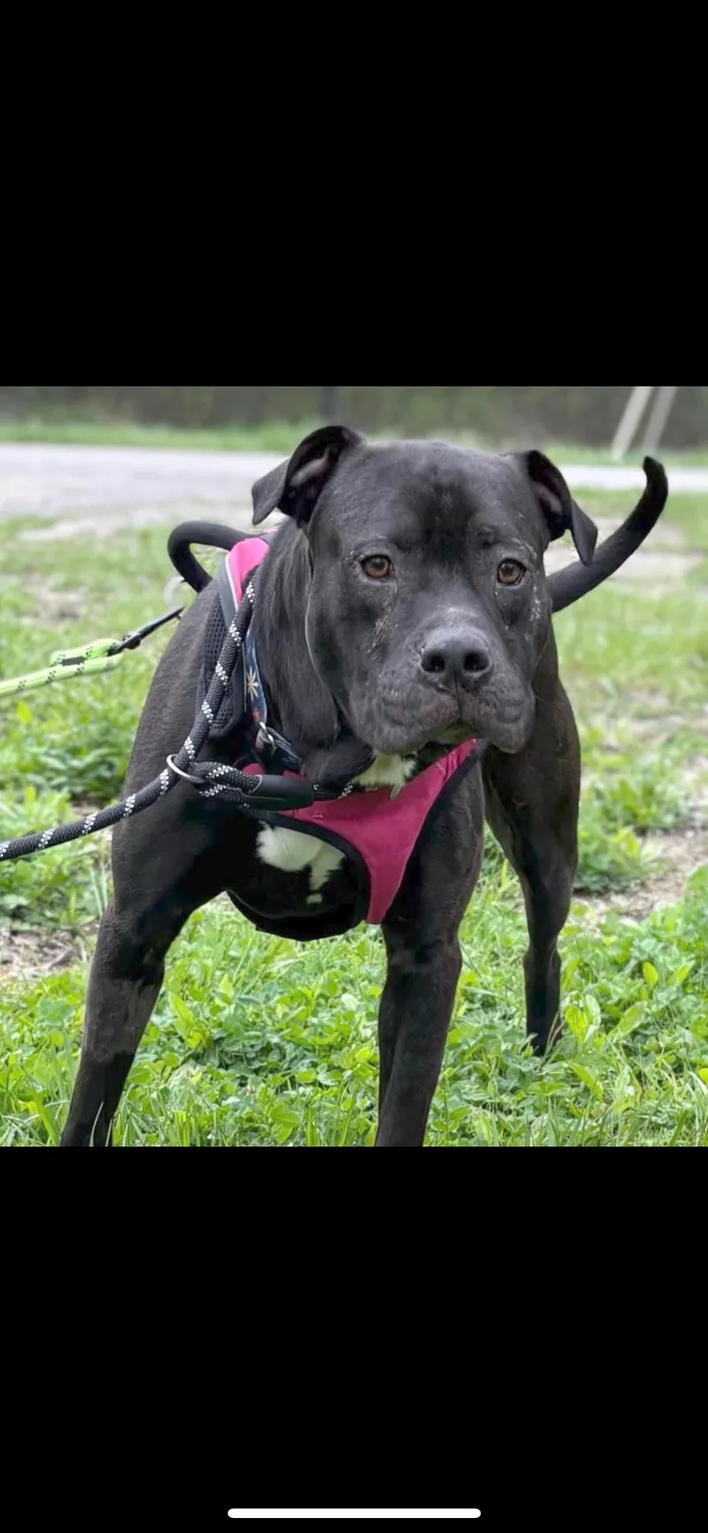 Cleveland thumbnail 2