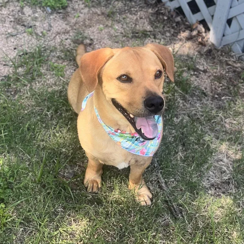 Charlie
