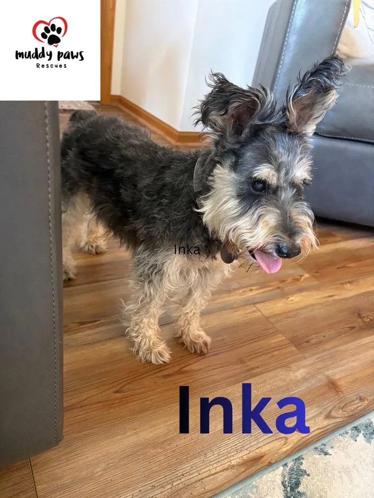 Inka