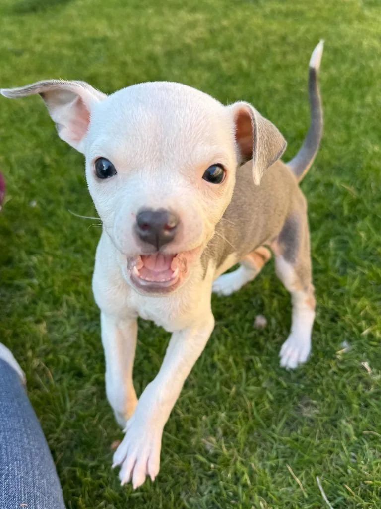 Jane Pauley thumbnail 2