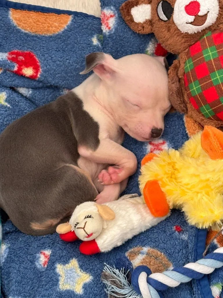 Jane Pauley thumbnail 3