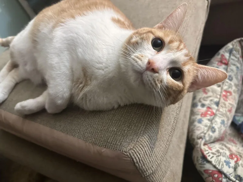 September thumbnail 2