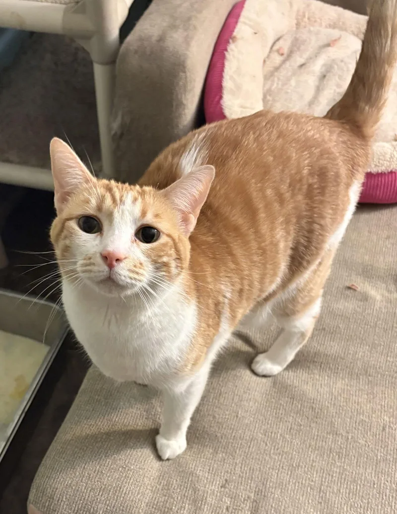 September thumbnail 3