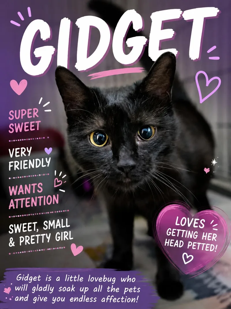 Gidget thumbnail 2