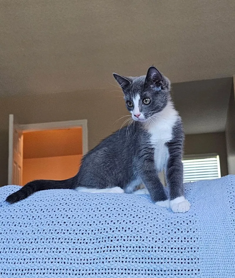Rosie thumbnail 4