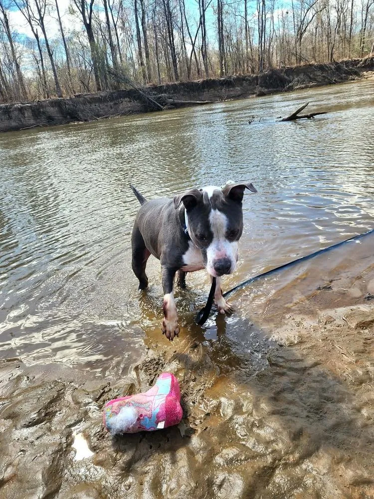 Tannen  💜 thumbnail 2