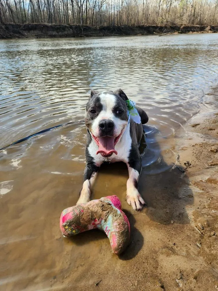 Tannen  💜 thumbnail 3